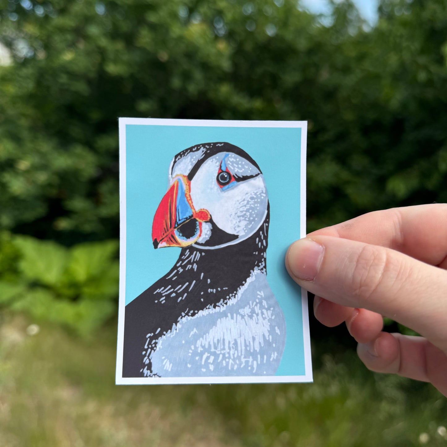 Puffin Sticker April-26