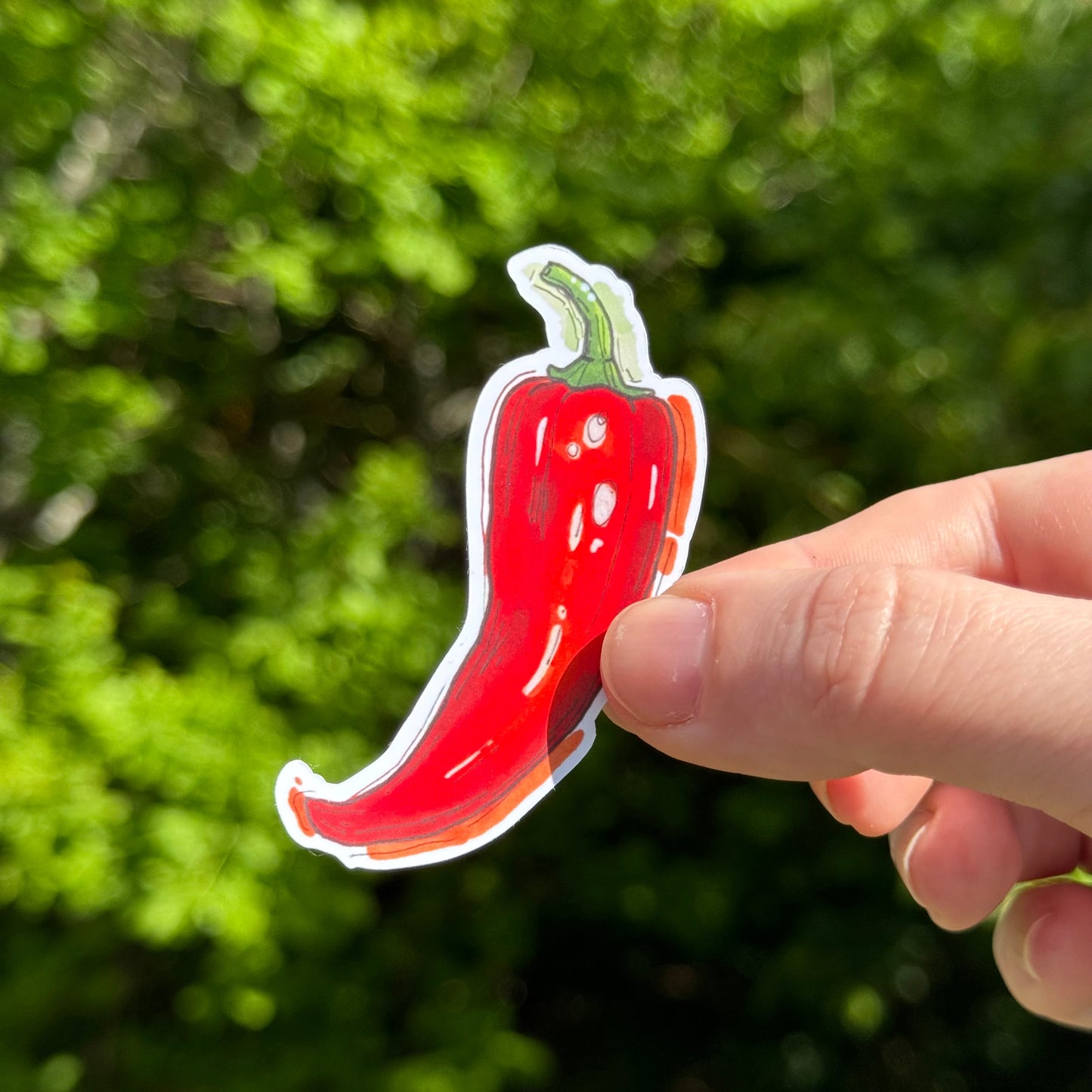 Chili Sticker