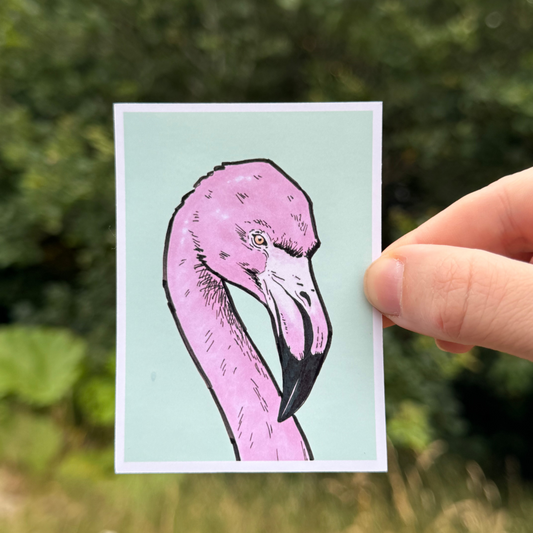 Flamingo Sticker July-26