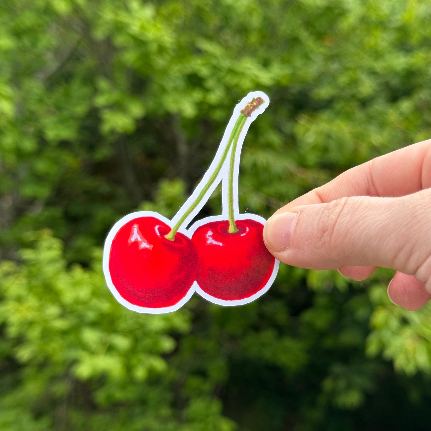 Cherry Sticker