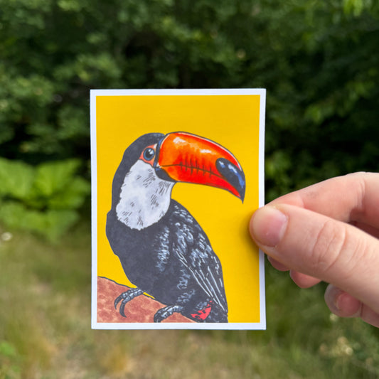 Toucan Sticker June-26