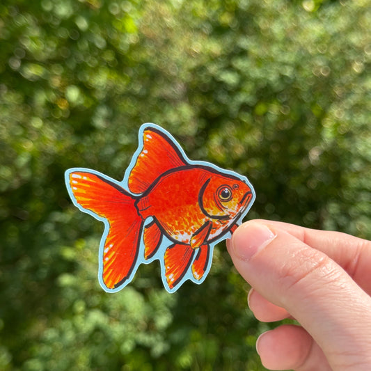 Gold Fish Sticker