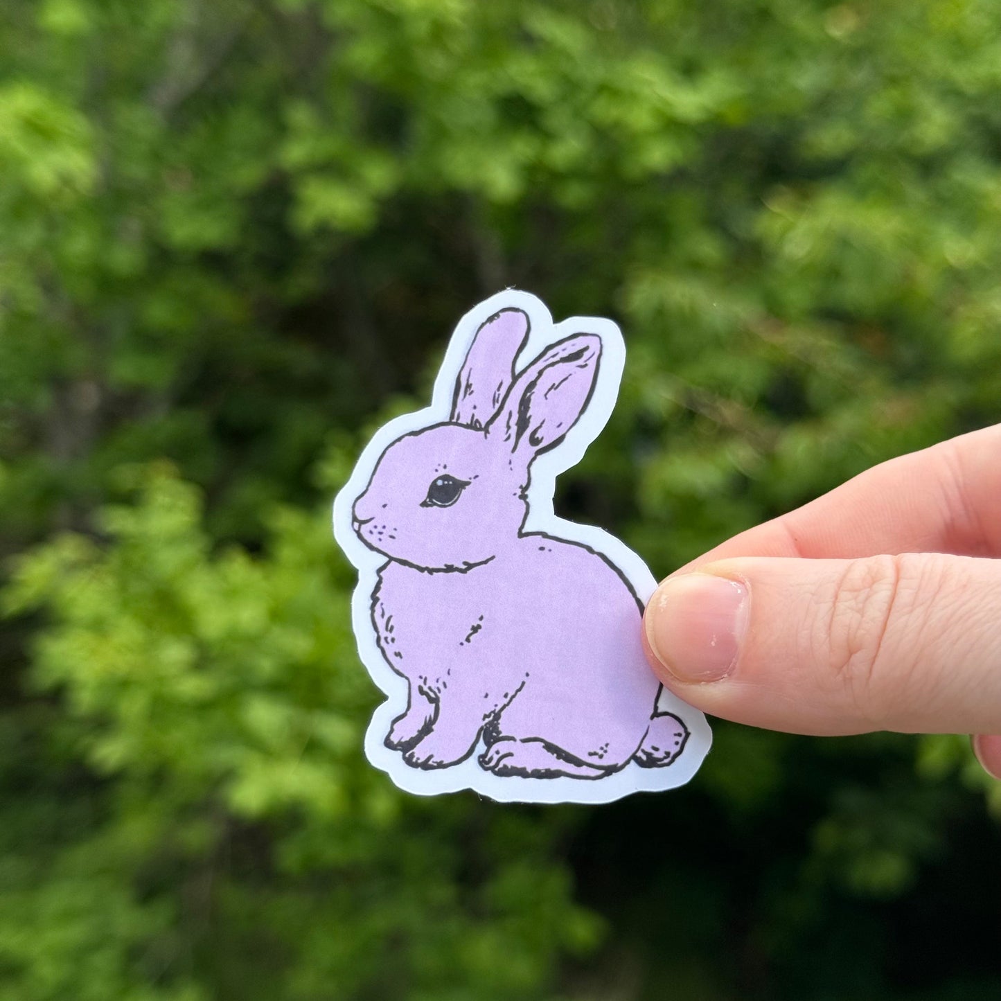 Bunny Sticker