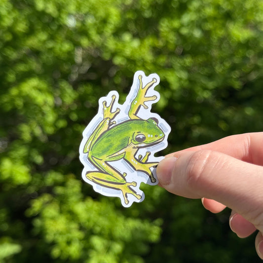 Frog Sticker